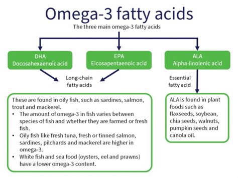 whats omega|different types of omega.